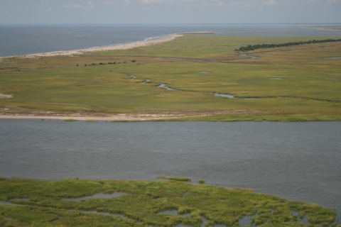 Aerial view of Cape Romain Wilderness Area showing barrier island and salt marsh habitats interspersed with creeks with view of Atlantic Ocean.  