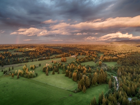 A working farm in the coastal Pacific Northwest 