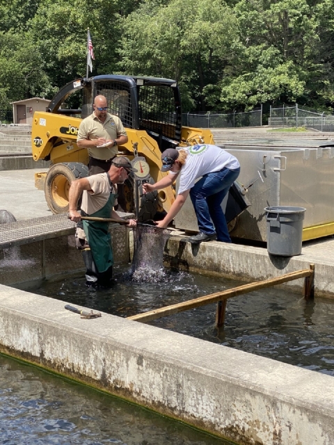 YCC assists with trout at Chattahoochee Forest National Fish Hatchery