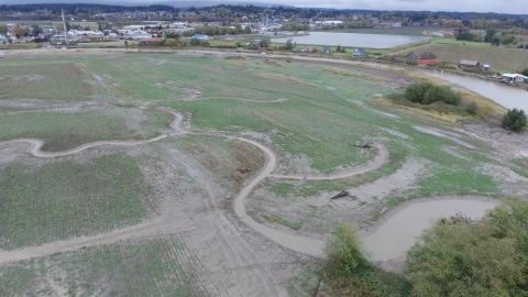 Aerial view of zis-a-ba coastal restoration project, Snohomish County, Washington
