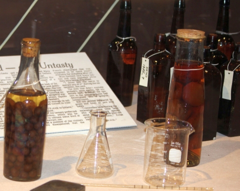 A bottles found on the Steamboat Bertrand. They bottles containing brandied cherries and peaches and other preserved goods