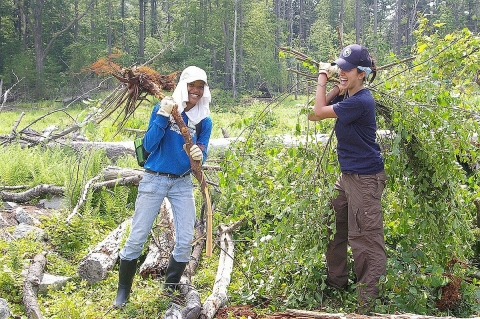 Two young men remove invasive plants from a heavily vegetated area