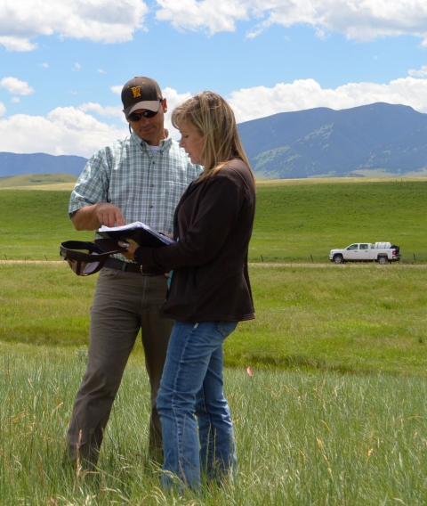 A man and a woman compare data and notes while standing a green field with mountains in the background