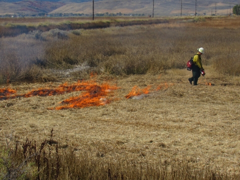 A prescribed burn at Oxford Slough Waterfowl Production Area