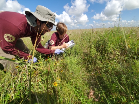 Two interns crouch in the tall grass taking nots on a data sheet.