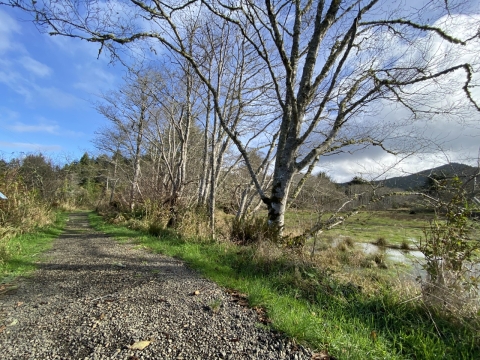 A flat dirt and gravel trail, lined by trees along a river, heads out into the distance.