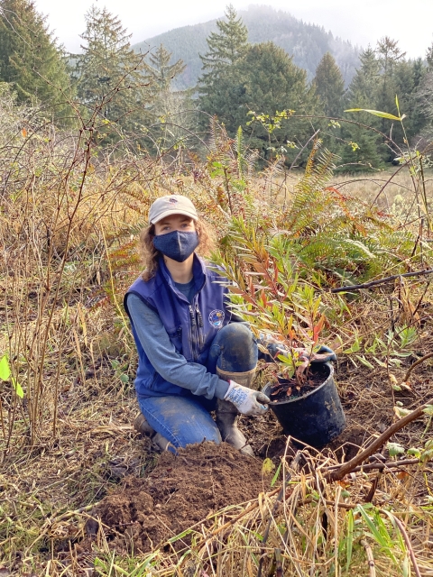 A refuge volunteer plants native trees
