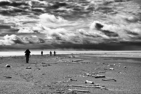 Four silhouettes of people in a black and white landscape of a long gravel beach