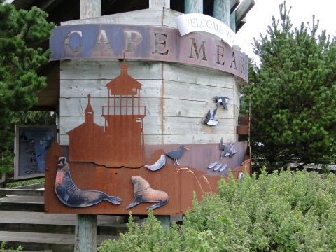 Entrance Sign at Cape Meares featuring seals, sea lions and seabirds