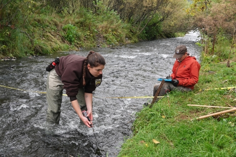 USFWS staff monitoring water temp in a stream