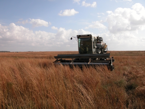 Machine moves through tallgrass prairie collecting native seed.
