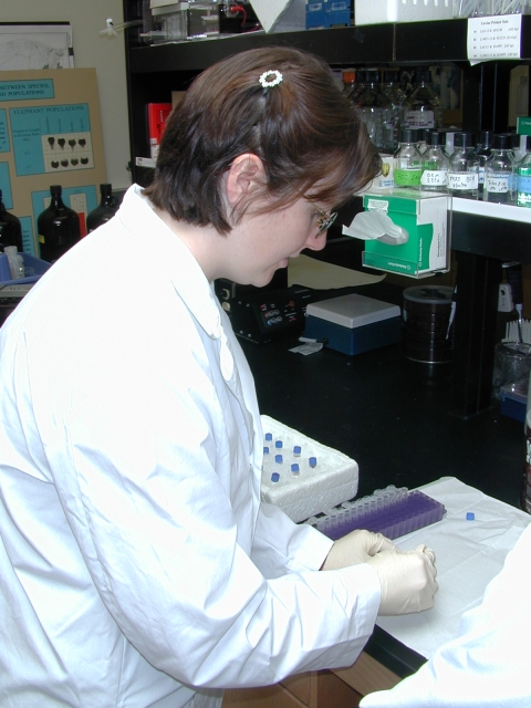 A lab worker prepares slides for examination
