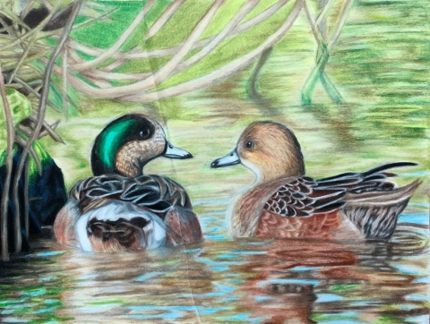 G2-1 A drawing of a Pair of ducks looking at each other, sitting on the water