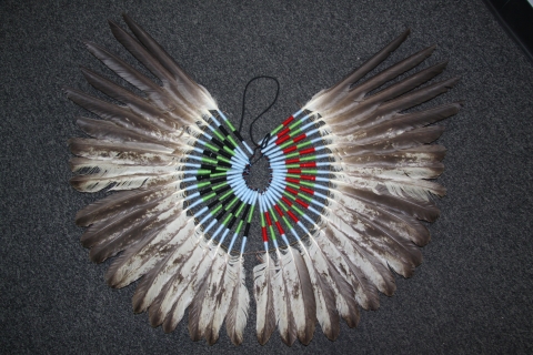 Bald eagle feather bustle