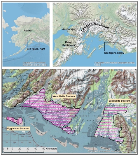 Map showing Alaska and zoomed in view of the study area - copper river delta - with pink lines showing the survey transects.