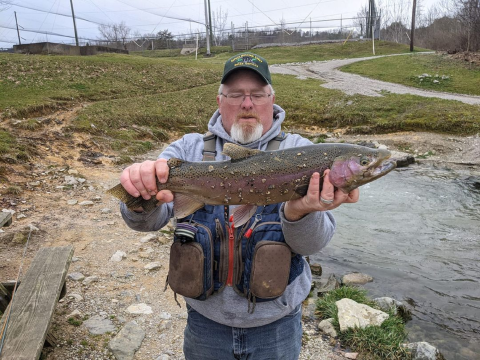 Rainbow trout caught at Hachery Creek 