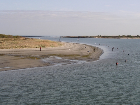 A beach peninsula on an overcast day, with dozens of fishermen in the water.