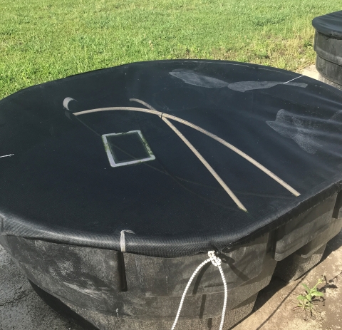 Large black tub with screen cover