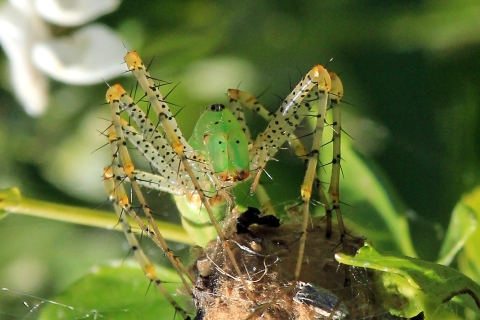 Hagerman Visitor Center