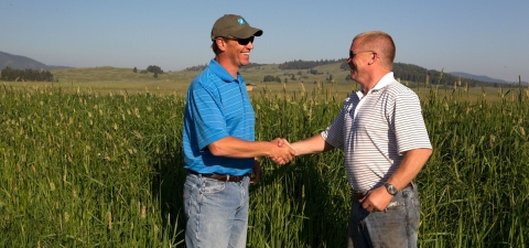 Two men smiling standing facing each other in a field of tall grass shake hands.