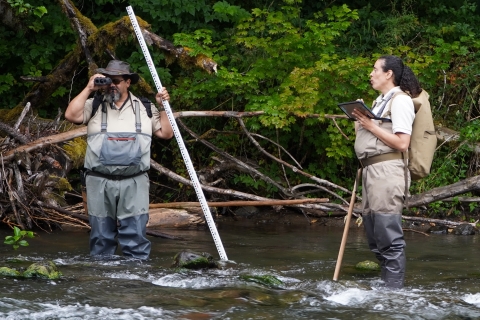 Fisheries technicians collecting river habitat data