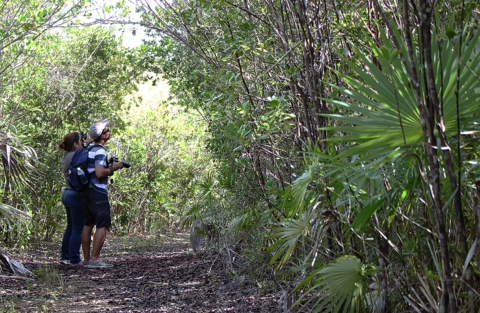 A young man and woman hiking on a trail while looking for wildlife to photograph on Vieques National Wildlife Refuge