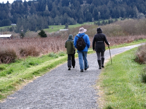 Three people walking along a gravel path near a wetland with coniferous forest in the background