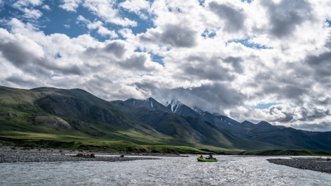 マッシュ・レイン／北極The Arctic Refuge Arctic National Wildlife Refuge | Arctic Wild
