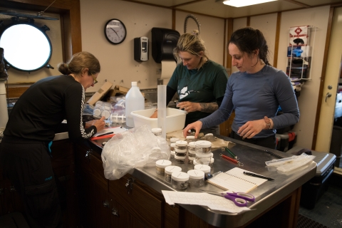 Three women are bent over a table working with notebooks, vials, and other scientific sampling equipment.