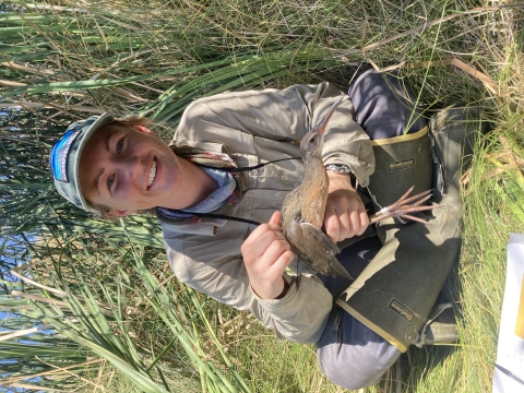 Scientist sitting in grass holding a bird