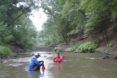 Researchers collect freshwater mussels from the Sabine River