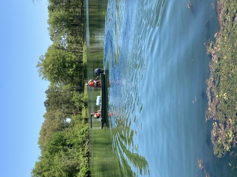 USFWS staff on a small boat, treating a fishing pond to prevent algae growth. 