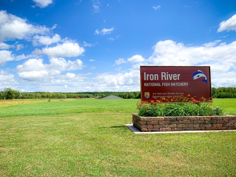 Iron River National Fish Hatchery sign with green grass and blue skies