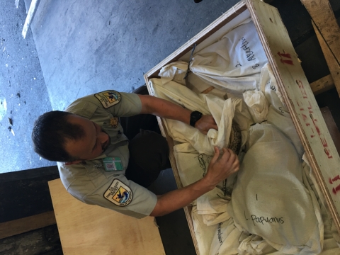 Wildlife Inspector Rene Galindo inspects a shipment of live reptiles at the Port of Los Angeles