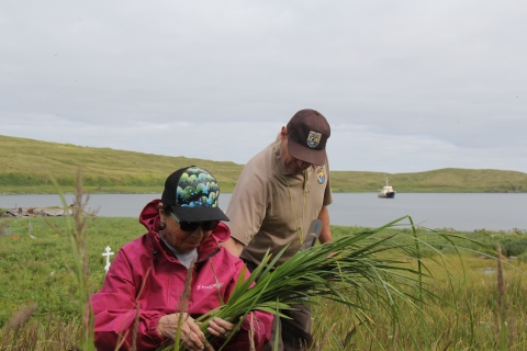 Man in USFWS uniform assists woman gathering grass.  A ship is in the bay behind them.