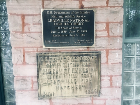 Leadville hatchery 100 year service sign
