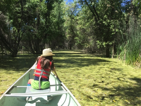 Child paddling the Tule Lake NWR Canoe Trail at Discovery Marsh