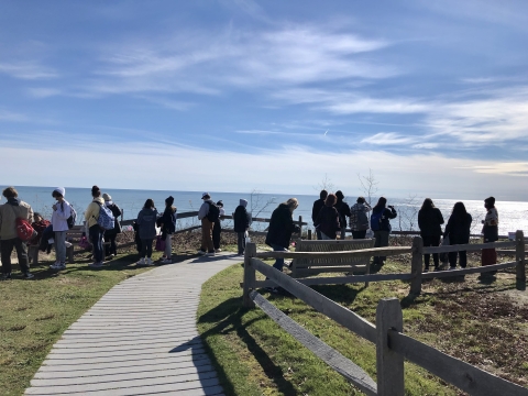 Visitors looking out over the water next to Monomoy NWR