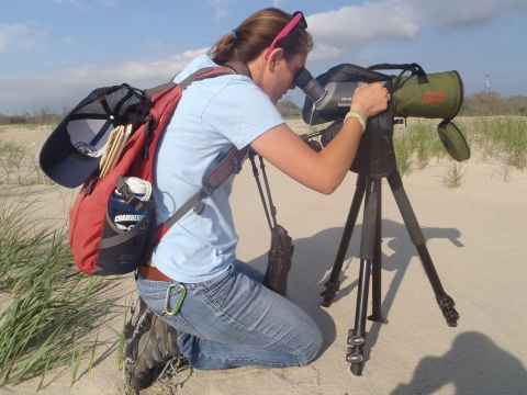 An intern kneels on the beach and looks through a spotting scope