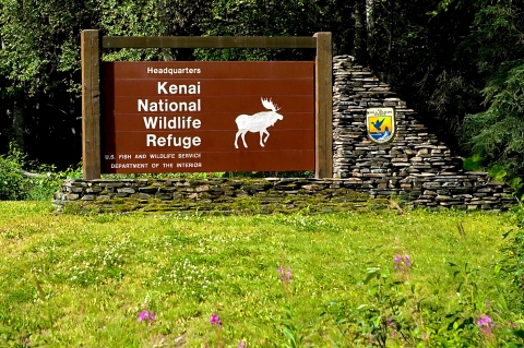 Brown sign with the words Headquarters Kenai National Wildlife Refuge and a moose silhouette