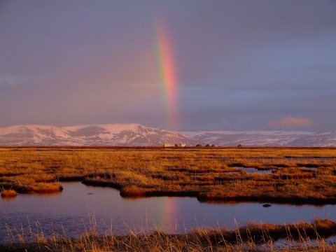 A rainbow over the tundra wetlands in late spring