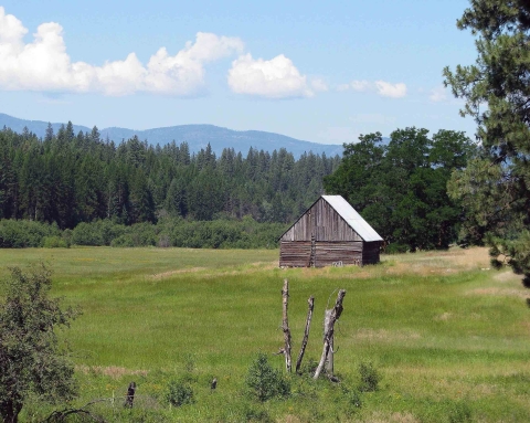 Wooden cabin in a meadow with distant mountains