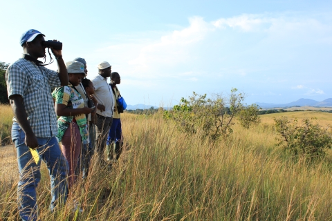 Group of participants in the USFWS MENTOR Program looking out over a grassland habitat in Africa