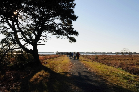 An educational group walks toward an overlook on an open trail