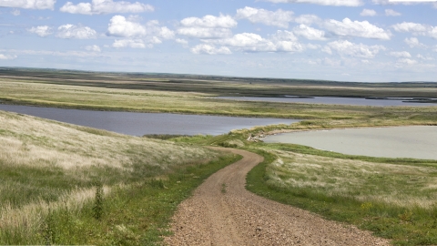 A gravel road descends into a low-lying prairie wetland