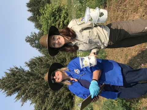 Refuge staff and volunteers work to restore Oregon Silverspot butterfly by releasing larvae