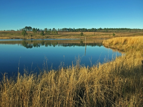 A lake with the reflection of a clear blue sky.
