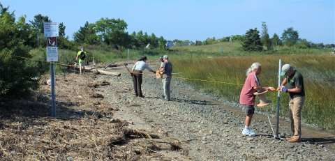 Refuge staff and volunteers remove string fencing that is used to protect shorebird habitat.