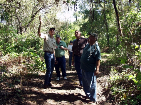 A group of men stand on a trail surrounded by trees and bushes. 