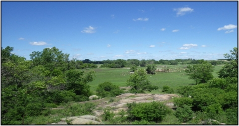 Granite Outcrops Surrounded by Trees